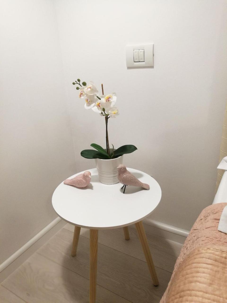 Apartament Metropole Invilla Old